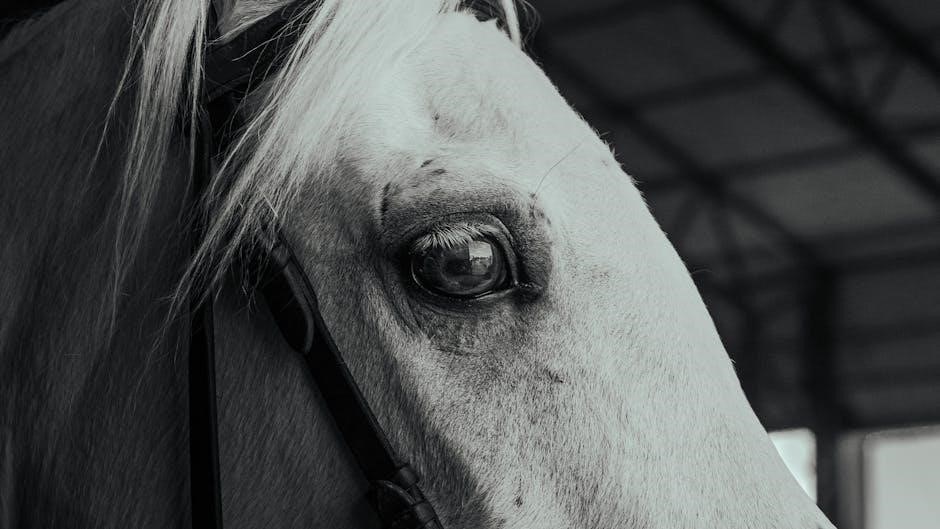 equine joint injections guide