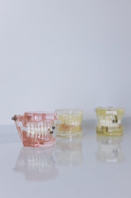 denture teeth mold guide